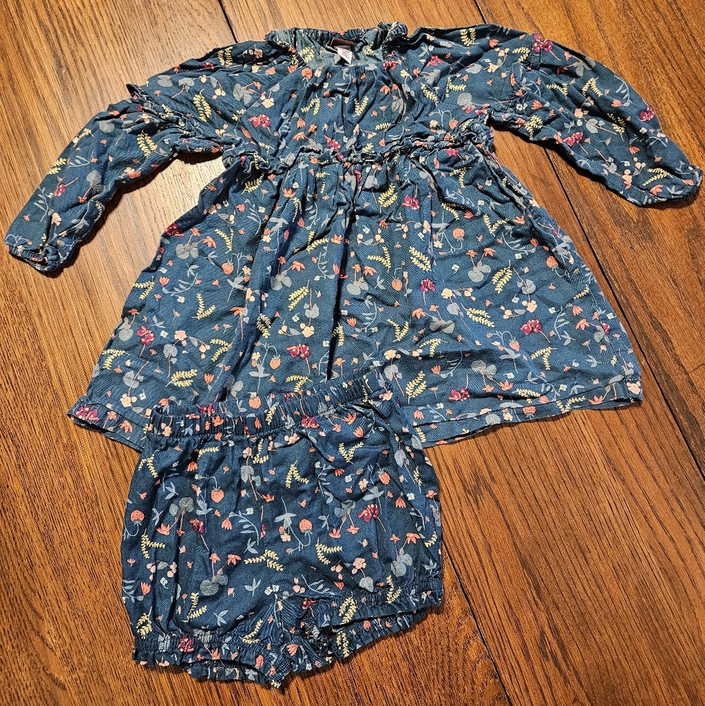 Tea Collection Dress and Bloomer Set